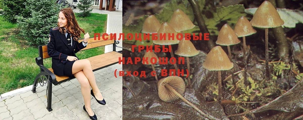 крисы Алексеевка