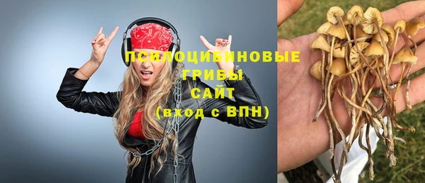 тгк Алексин